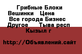 Грибные Блоки Вешинки › Цена ­ 100 - Все города Бизнес » Другое   . Тыва респ.,Кызыл г.